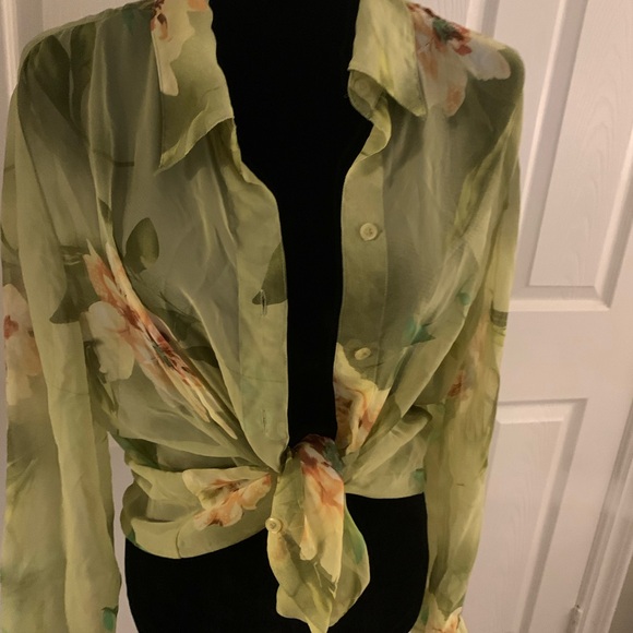 Light green Translucent button down - Picture 2 of 5